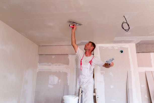 Best Drywall Installation  in Madison, SD